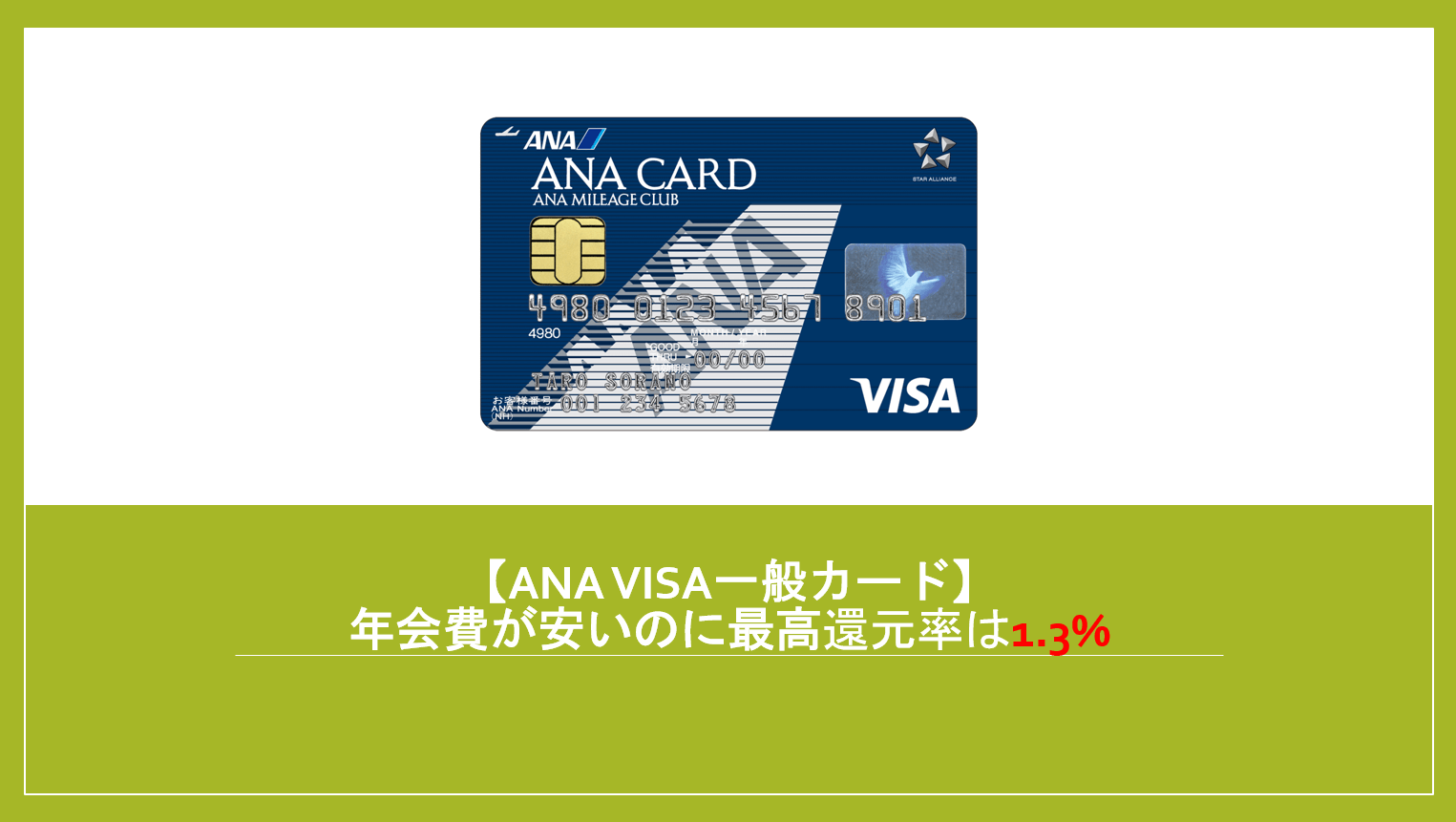2021年版】ANA VISA/Master一般カード（Suica、TOKYU含）の全貌を完全公開！ | すけすけのマイル乞食